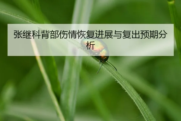 img_1788708155346_283_1_964.jpg