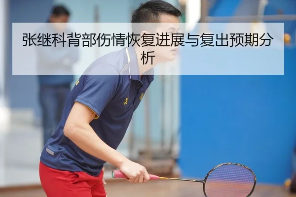 张继科背部伤情恢复进展与复出预期分析